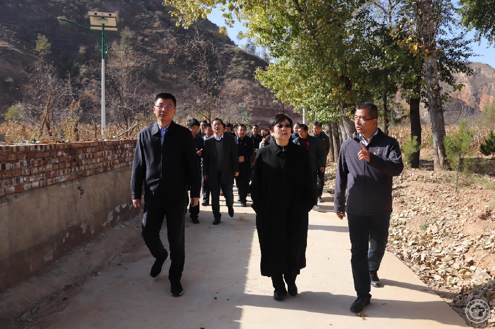 2、李小林会长一行赴沙壕村实地调研考察.jpg